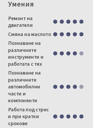 cv примерен Умения на автомеханик cv примерен Умения на автомеханик