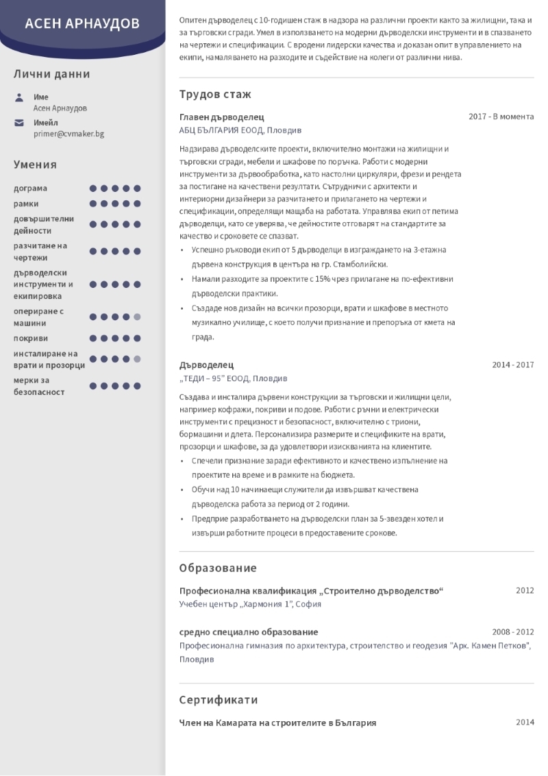 Примерно CV на дърводелец 1
