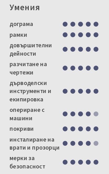 cv примерен умения на дърводелец